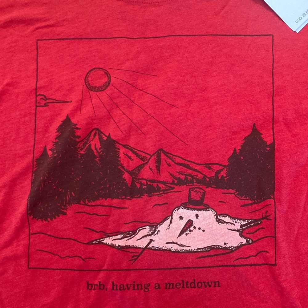 American Eagle Outfitters Red Mountain Graphic Tee - Picture 6 of 8